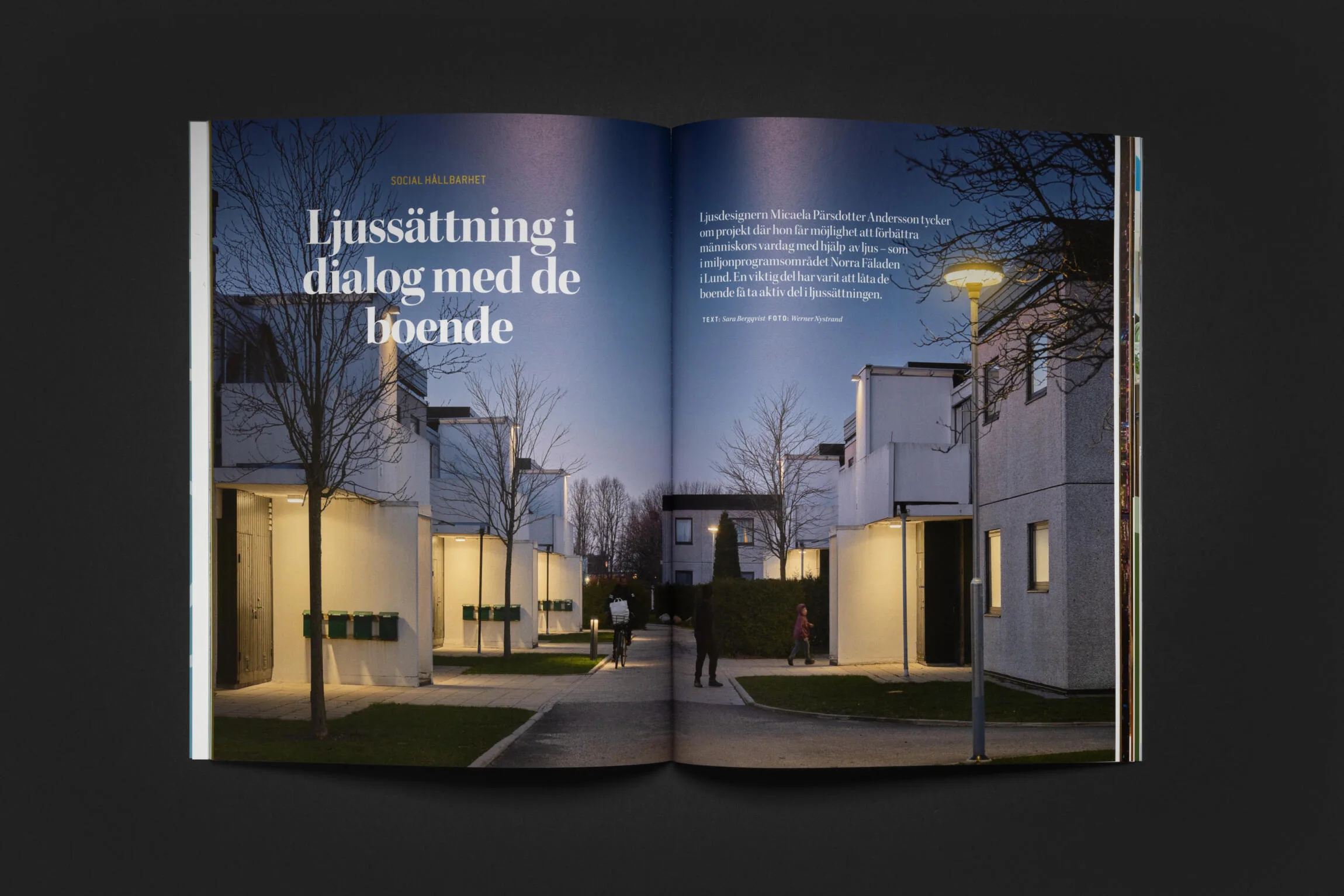 ljuskultur 1 Ljuskultur