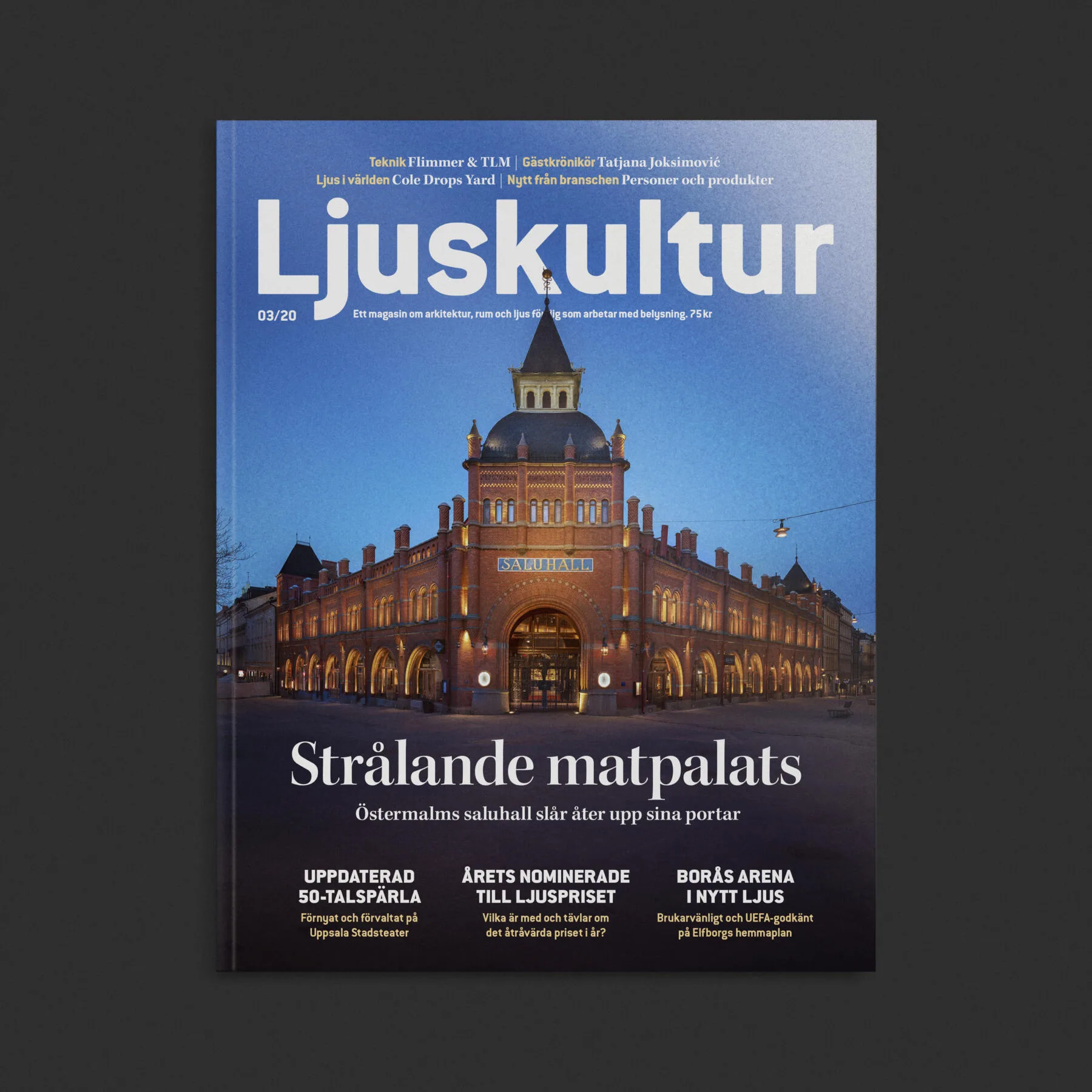 ljuskultur2003 Ljuskultur