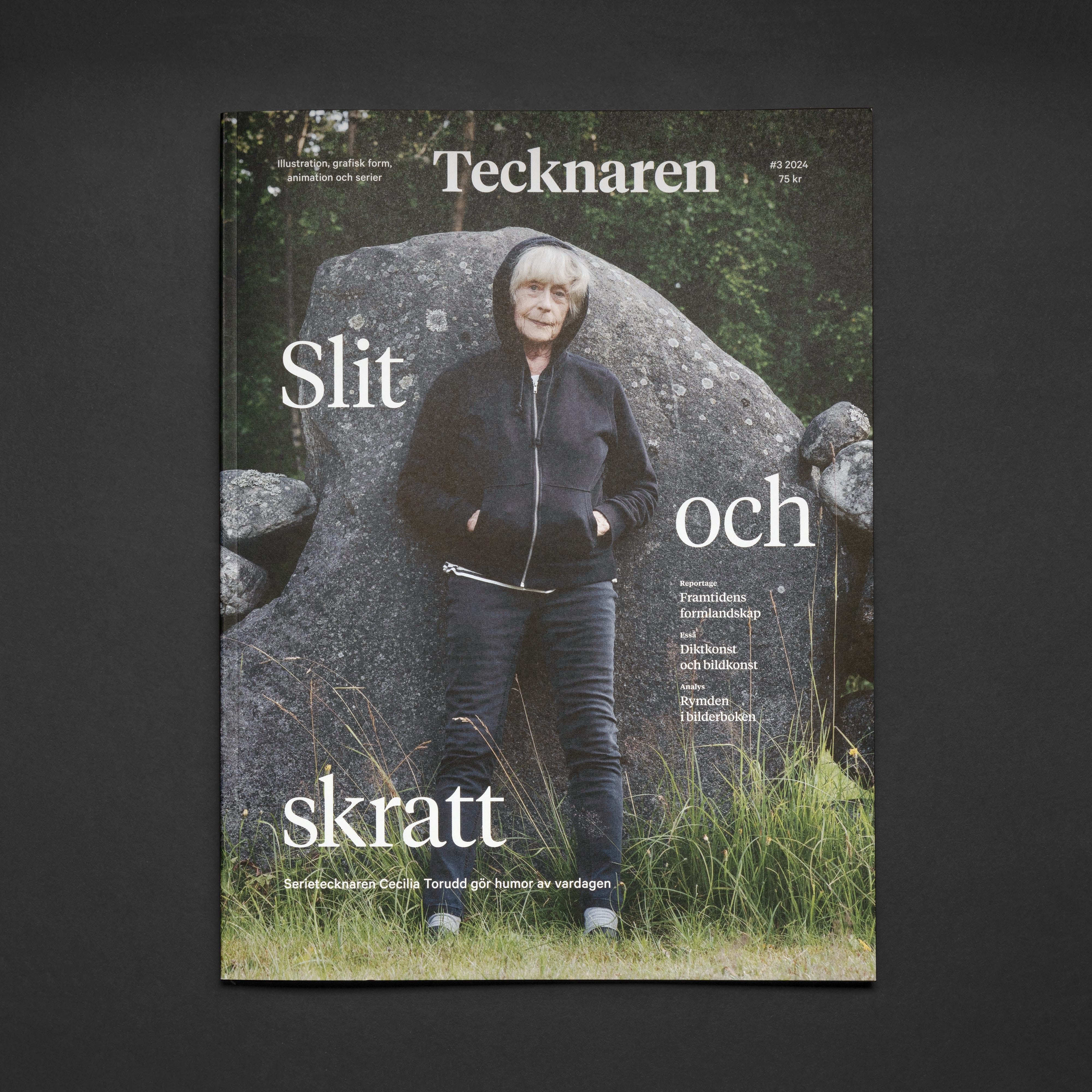 tecknaren 0324 c 1 Tecknaren vinner guld i Publishingpriset 2025