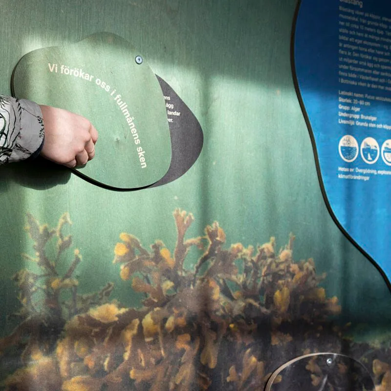 0i4a8697 edit kopiera Projekt