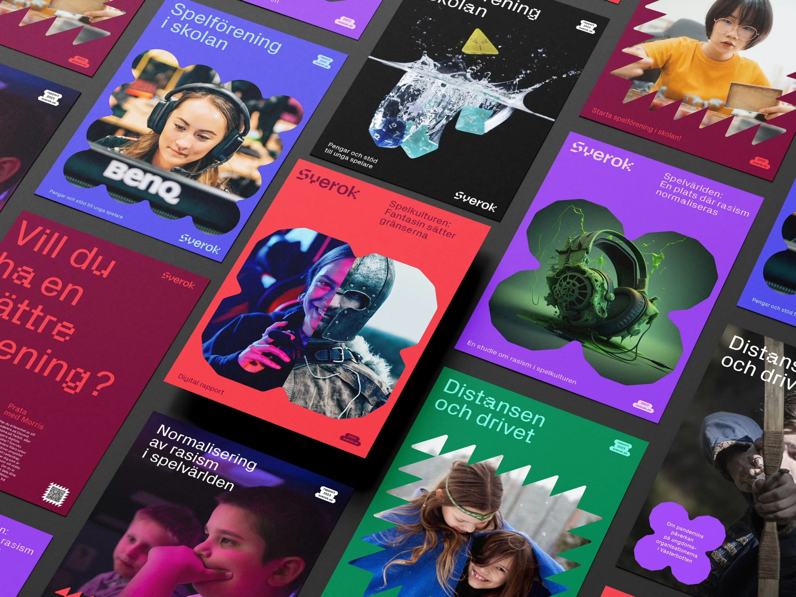 sverok omslag scaled Projekt