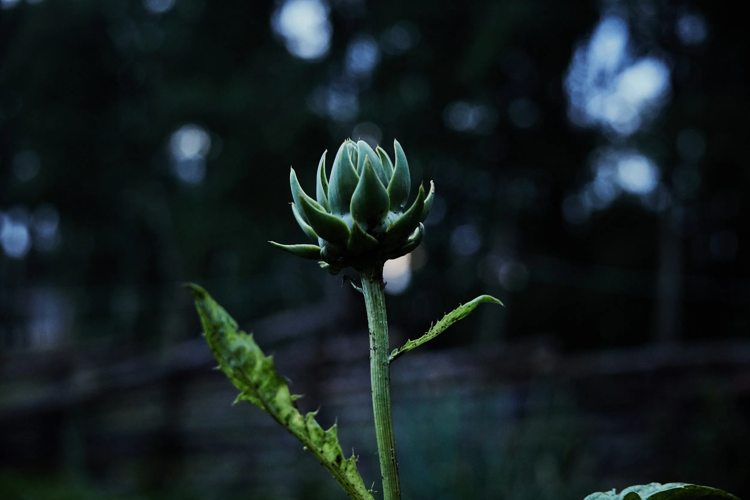 goda hem 1072 Dokument Press