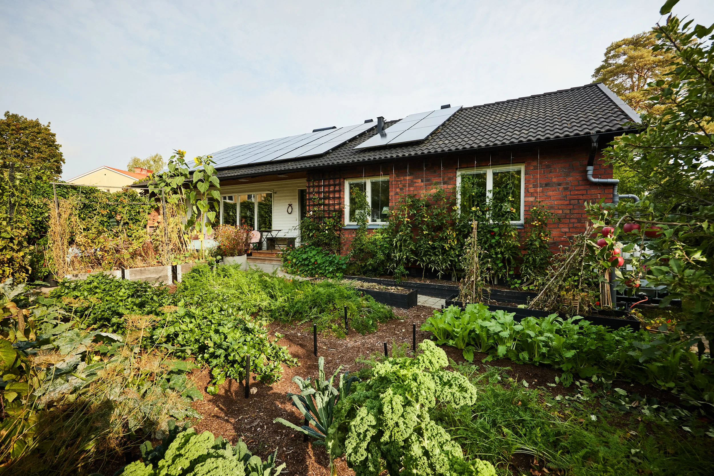 goda hem 1829 Dokument Press