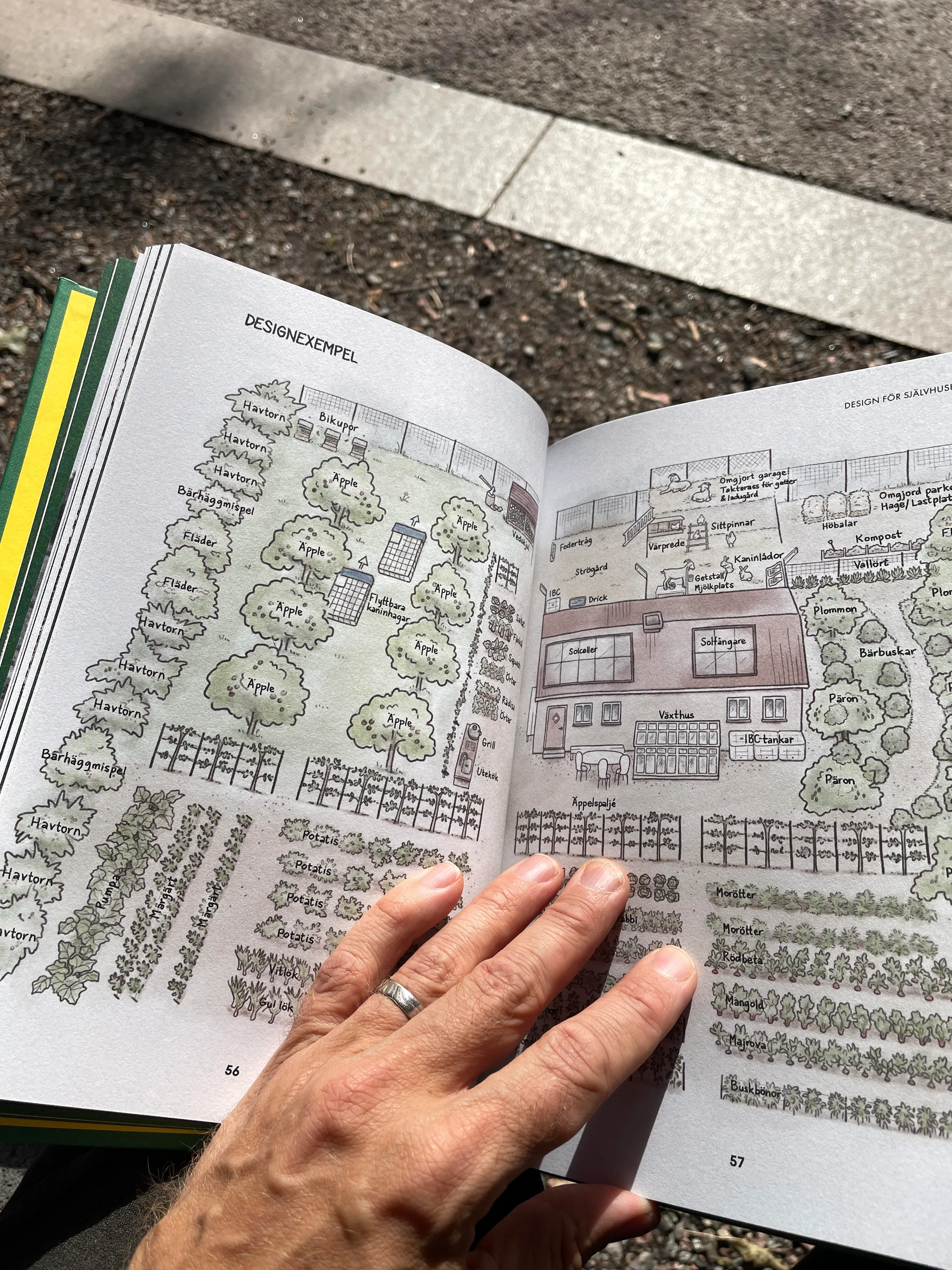 img 2030 rotated Dokument Press