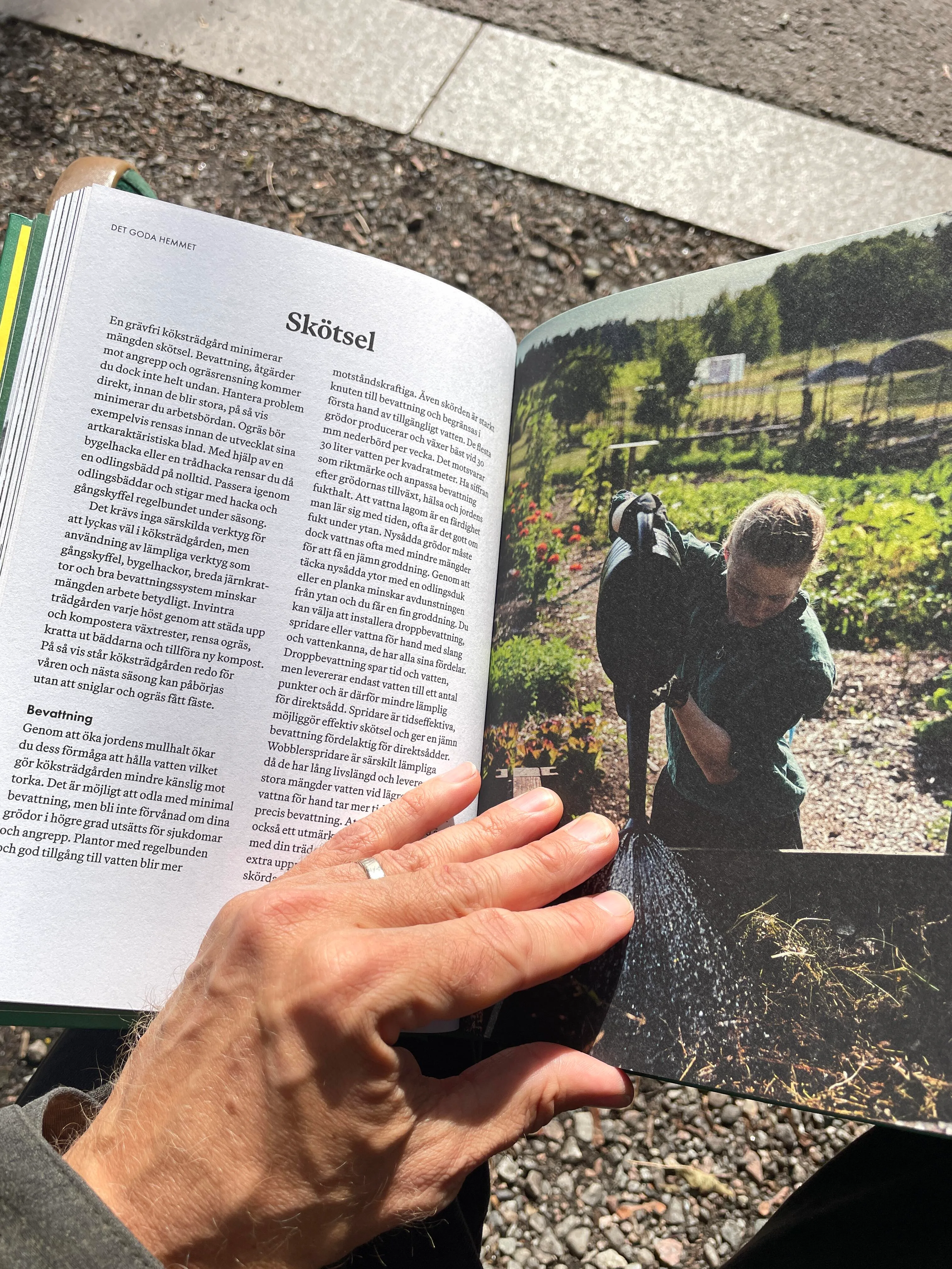 img 2035 rotated Dokument Press