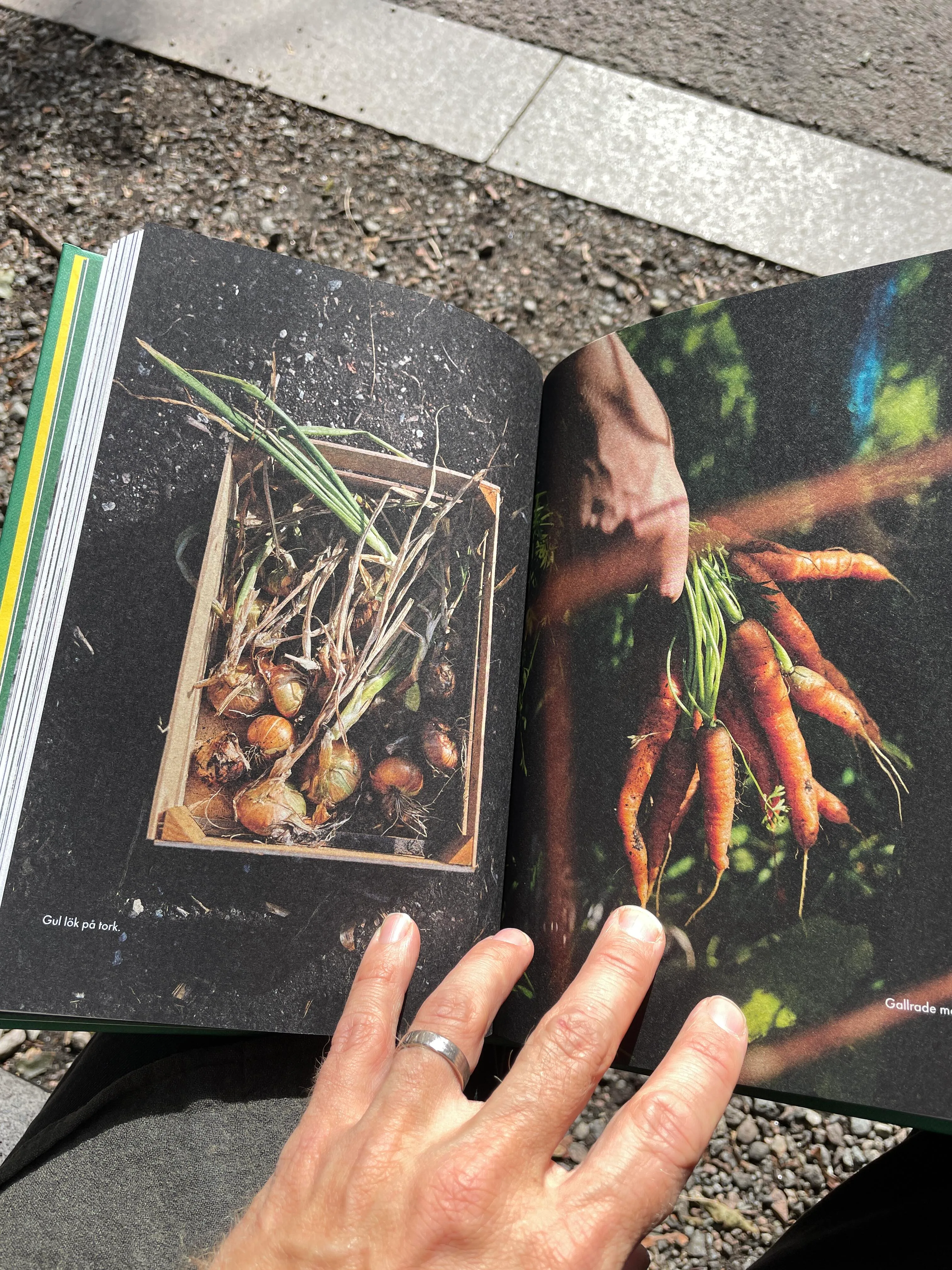 img 2036 rotated Dokument Press