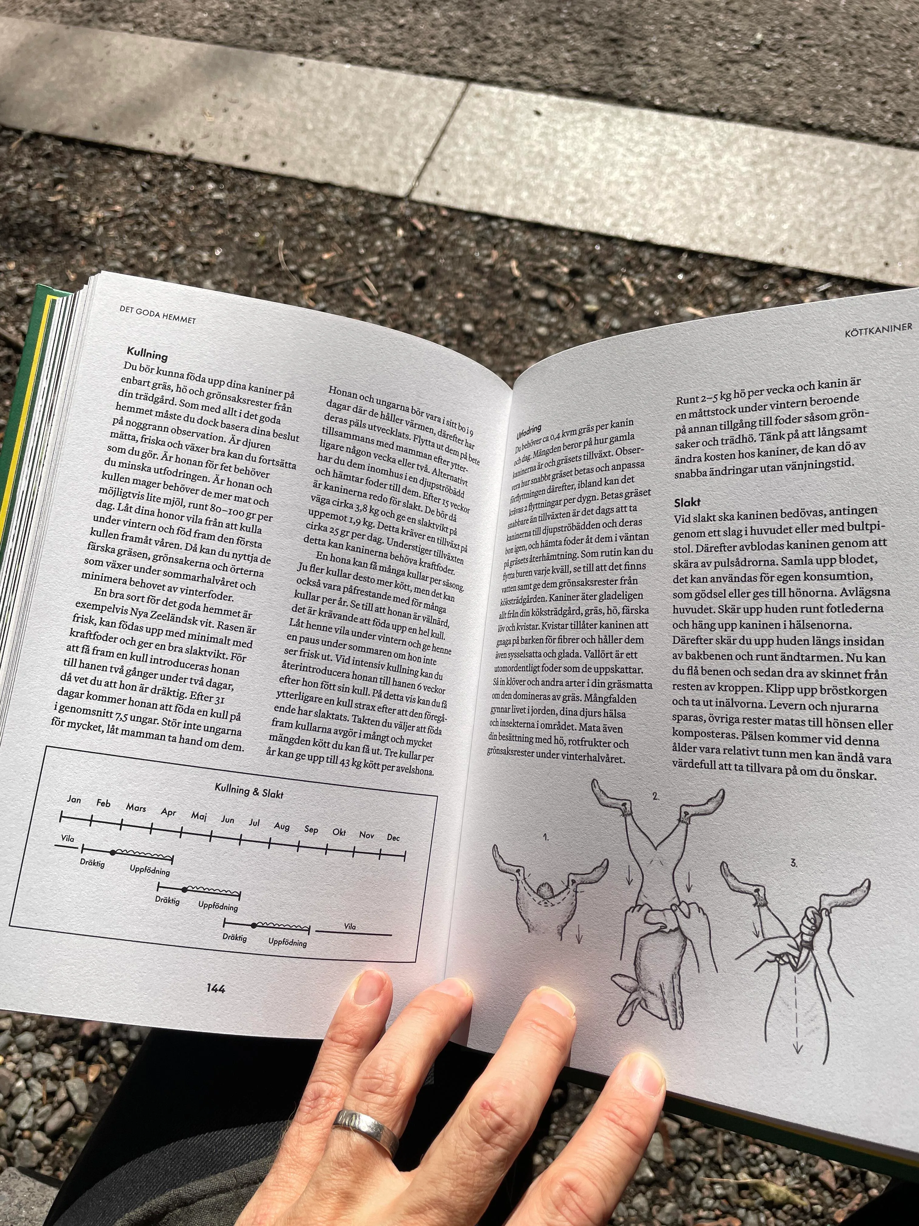 img 2043 rotated Dokument Press