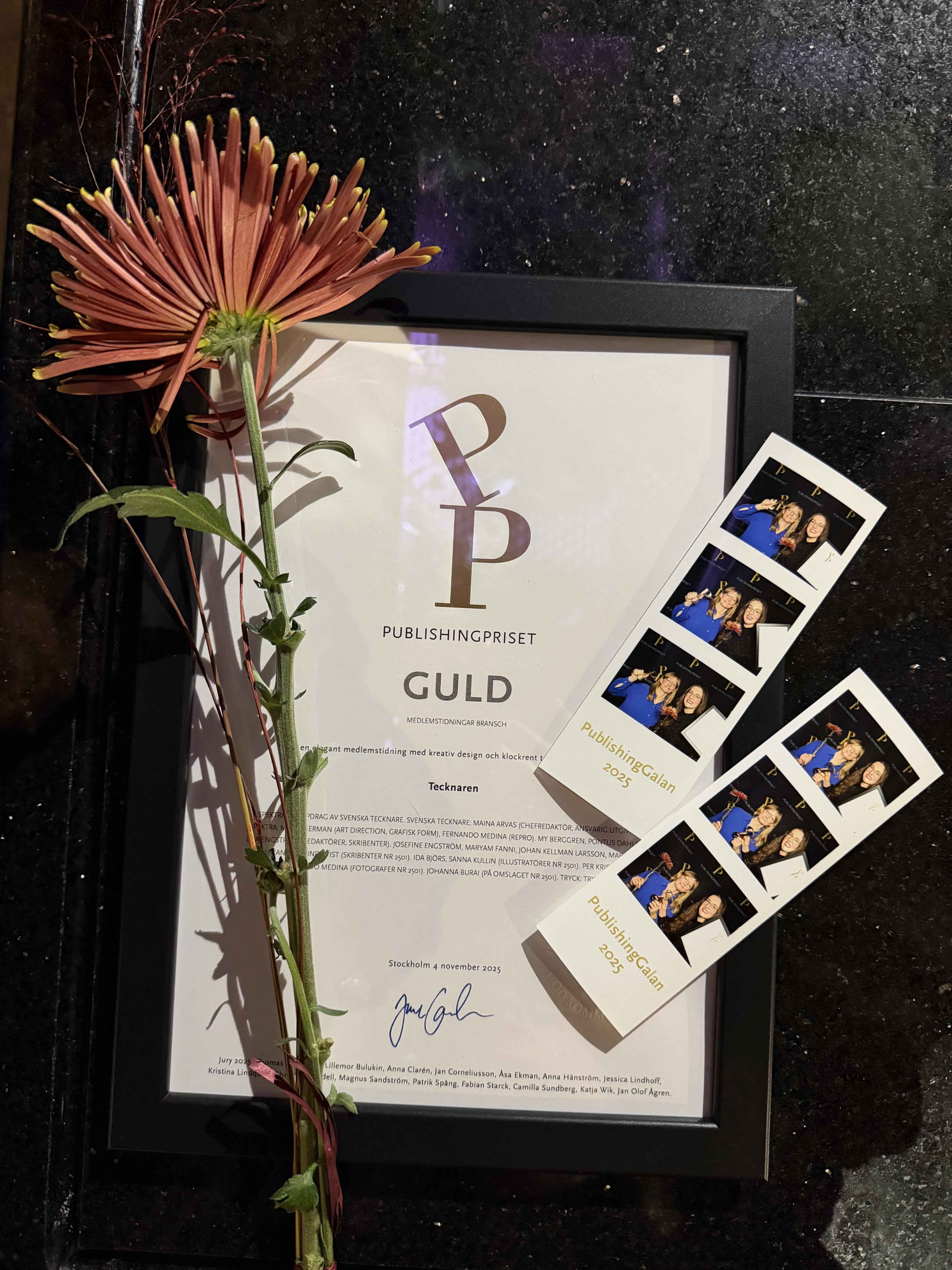 img 6520 2 scaled Tecknaren vinner guld i Publishingpriset 2025